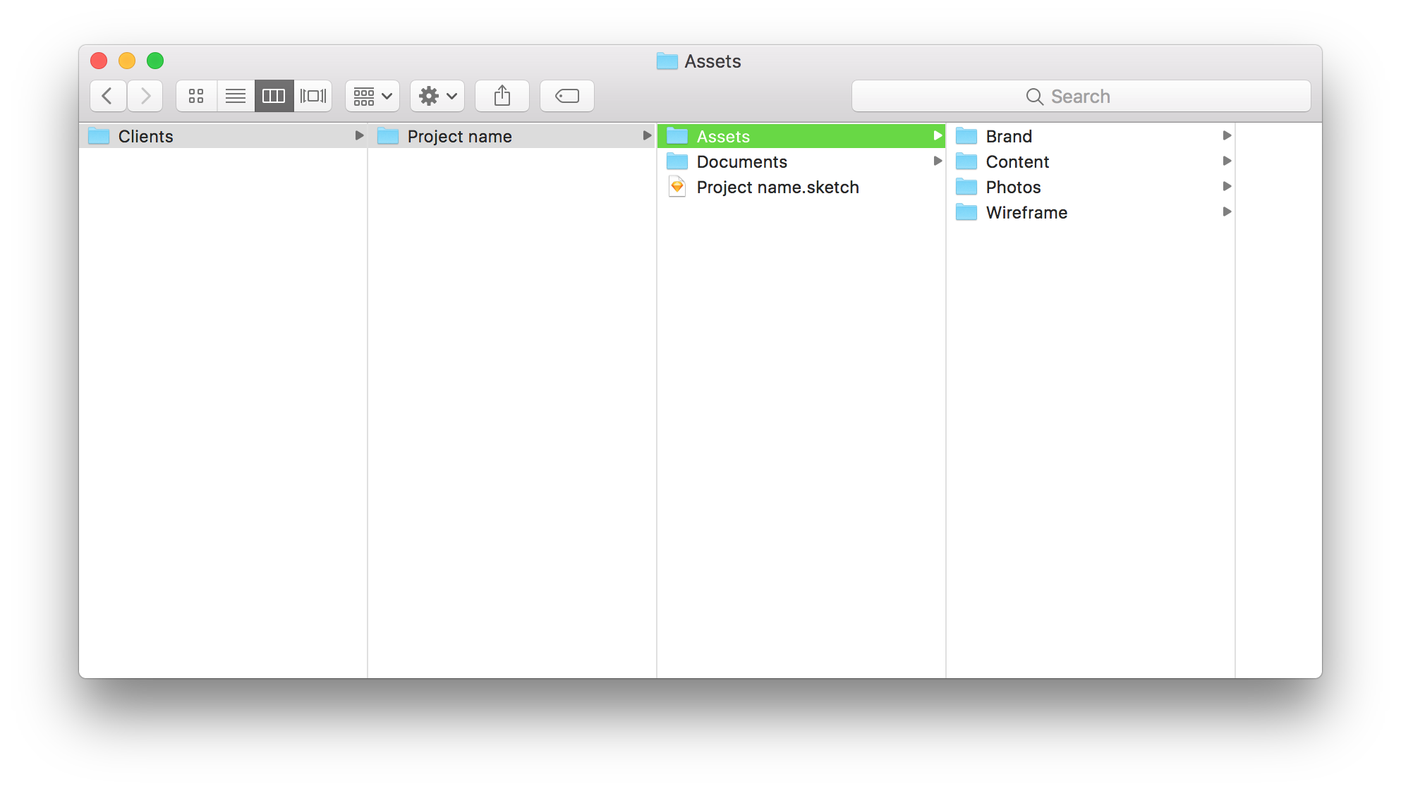 design assets