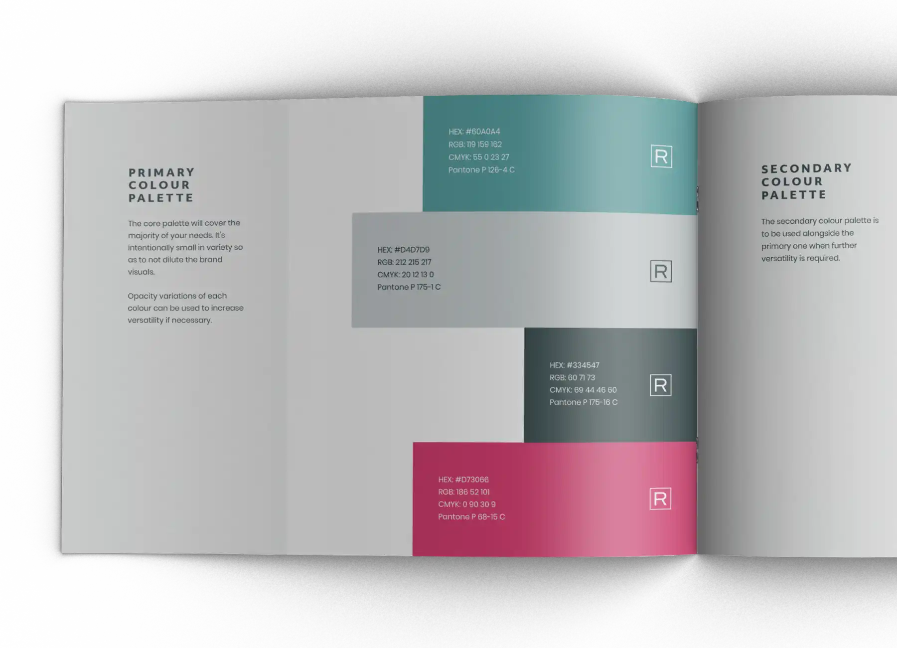 Sasha Lantukh Brand Identity Sasha Lantukh Brand Identity