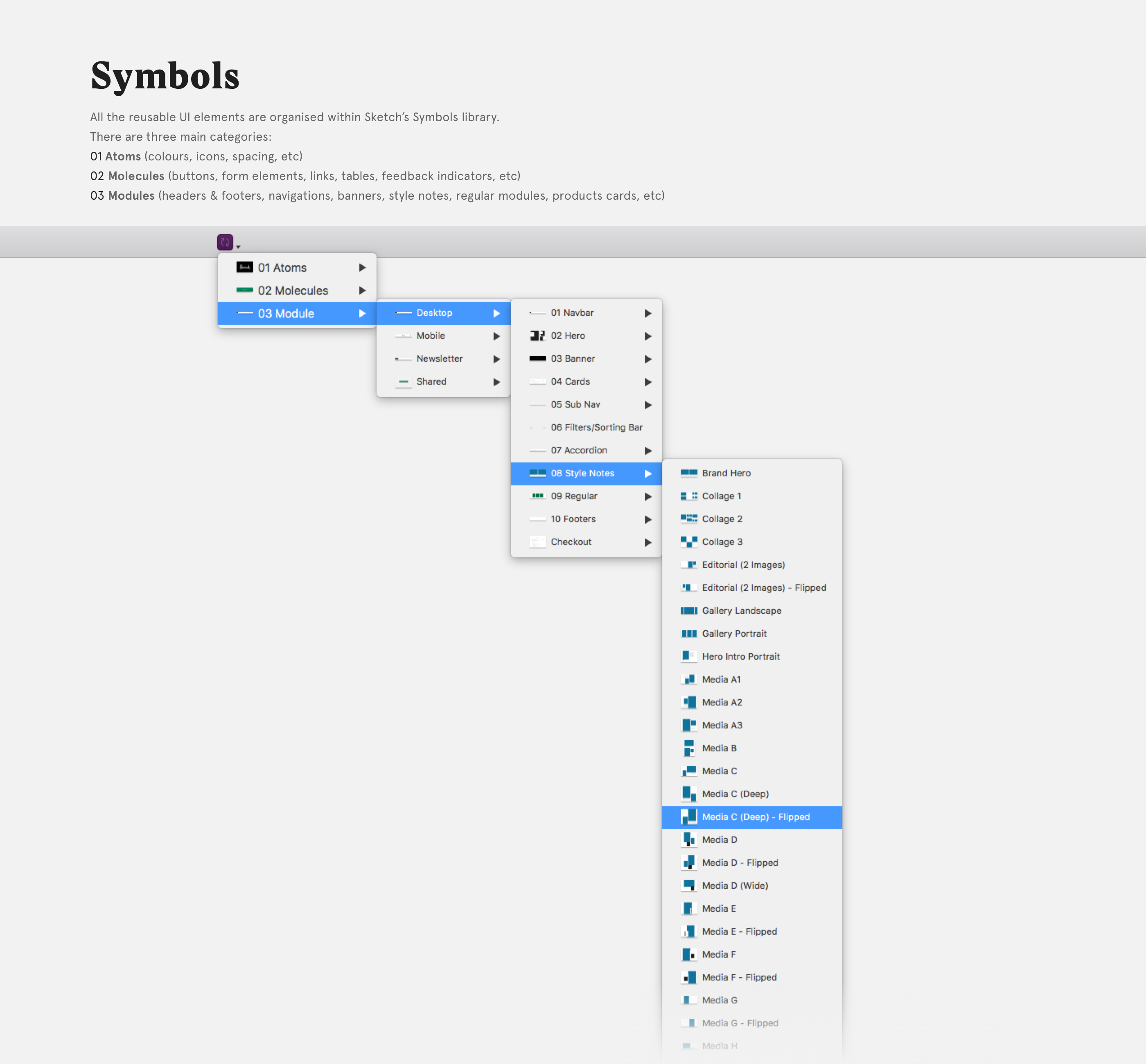 Symbols@2x Sasha Lantukh Website Design