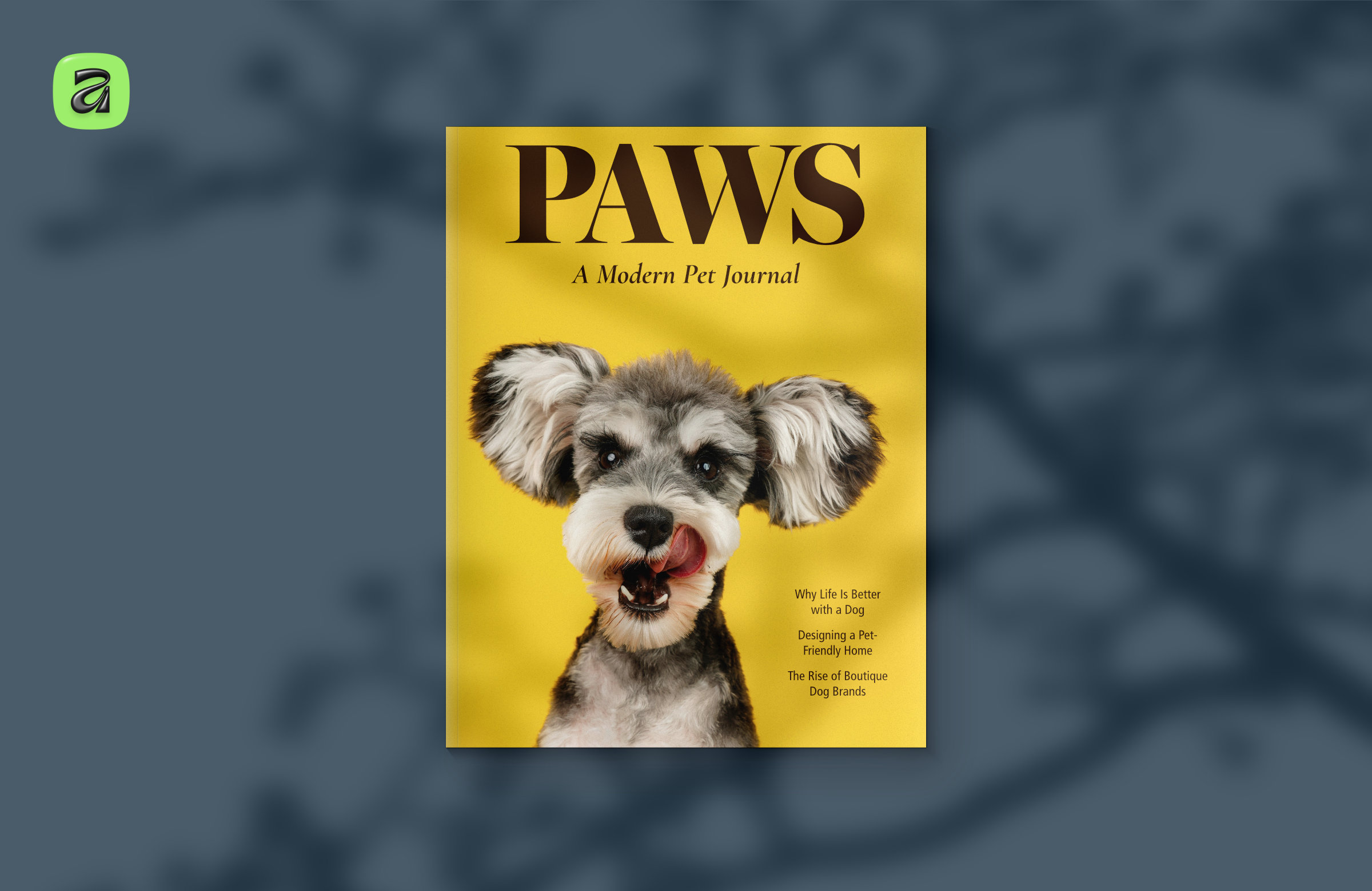 Cover Example 1 Cover Example 1